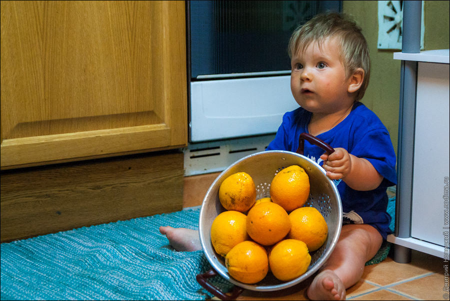 Мартин и апельсины