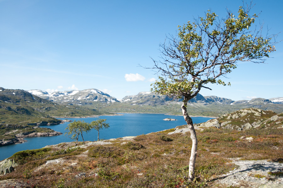 Центральная Норвегия в сентябре с трехлетней малявкой