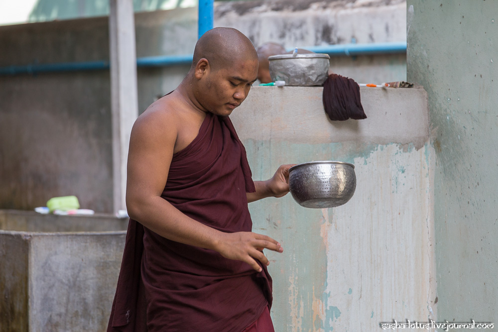 Монахи Мьянмы