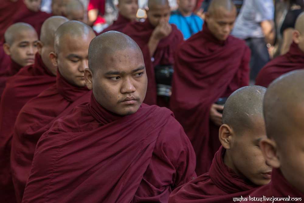 Монахи Мьянмы
