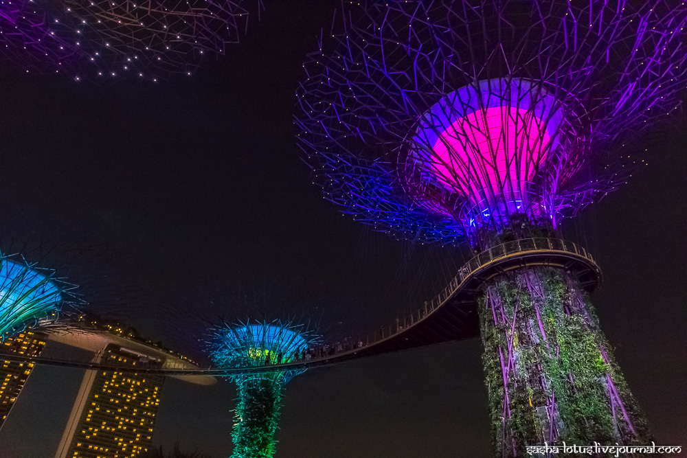 Сингапур. По небесному мосту среди сверхдеревьев