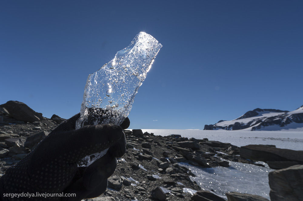 МЧС отметил юбилей на Антарктической вершине - фото 2