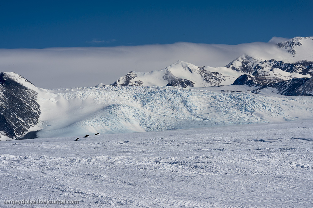 Сергей Доля рассказал про Антарктиду  - фото 21