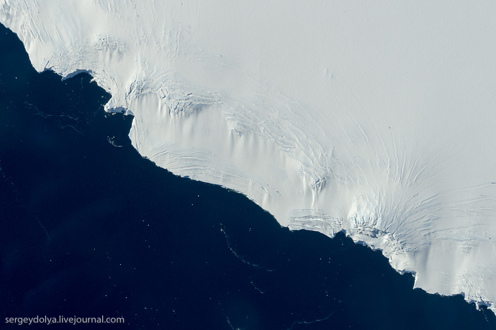 Сергей Доля рассказал про Антарктиду  - фото 36
